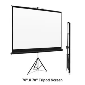 Portable Projector Screen 42 x 72