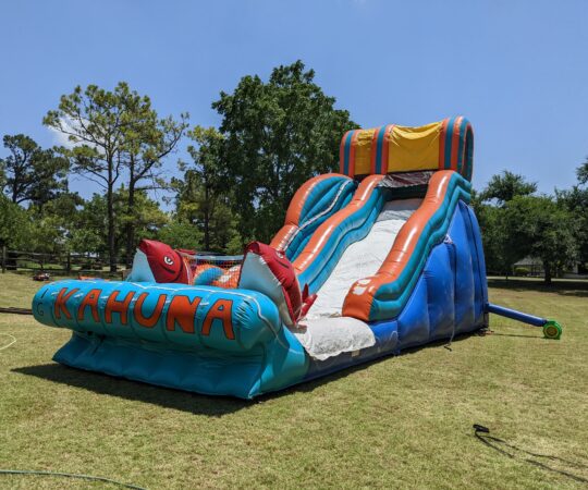 Bounce House Slide Big Kahuna